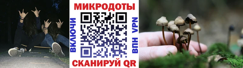 купить сайты Лихославль Псилоцибиновые грибы прущие грибы
